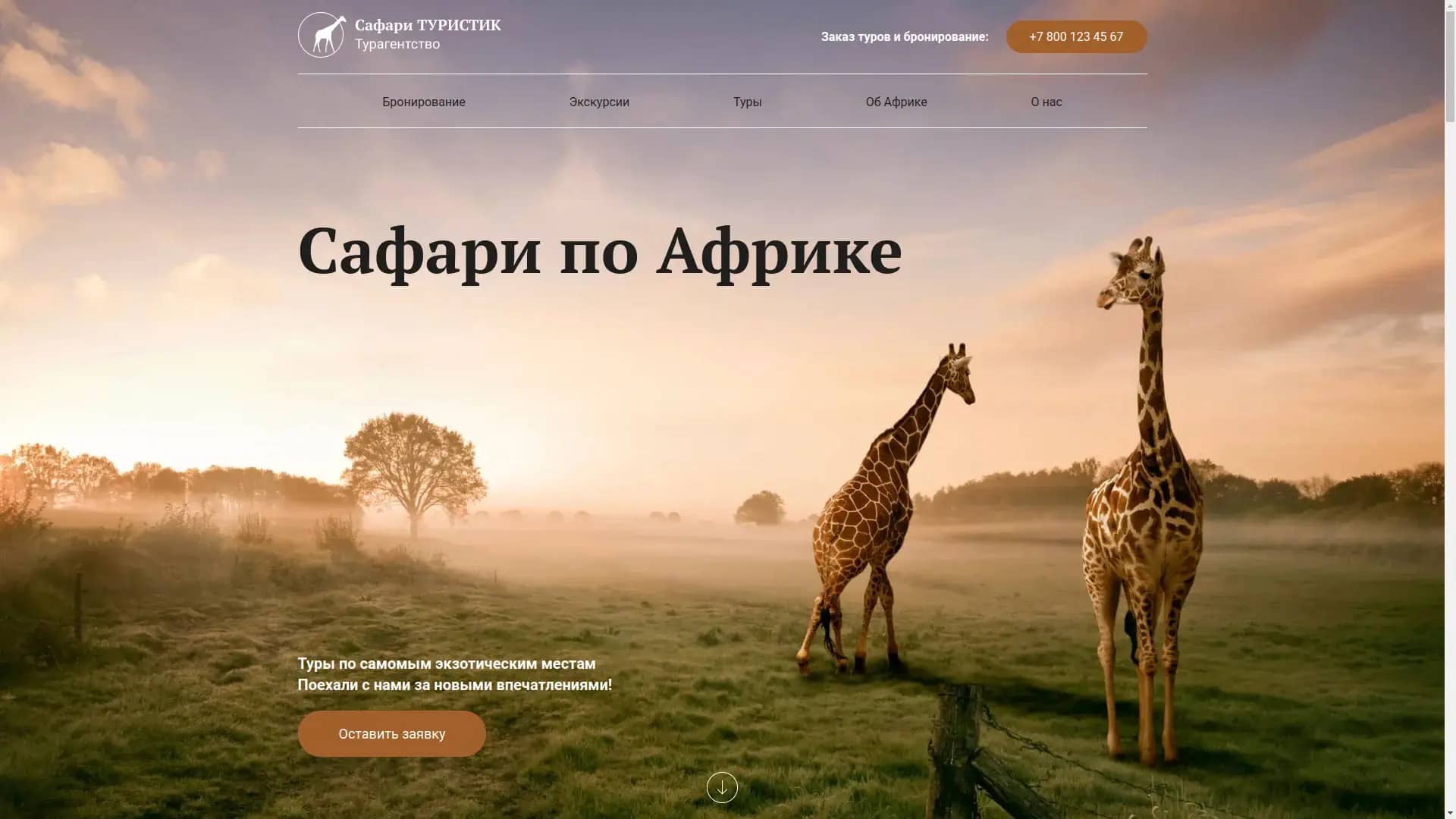 Safari
